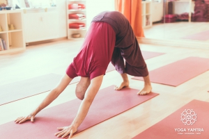 Einzelunterricht Yoga Chemnitz